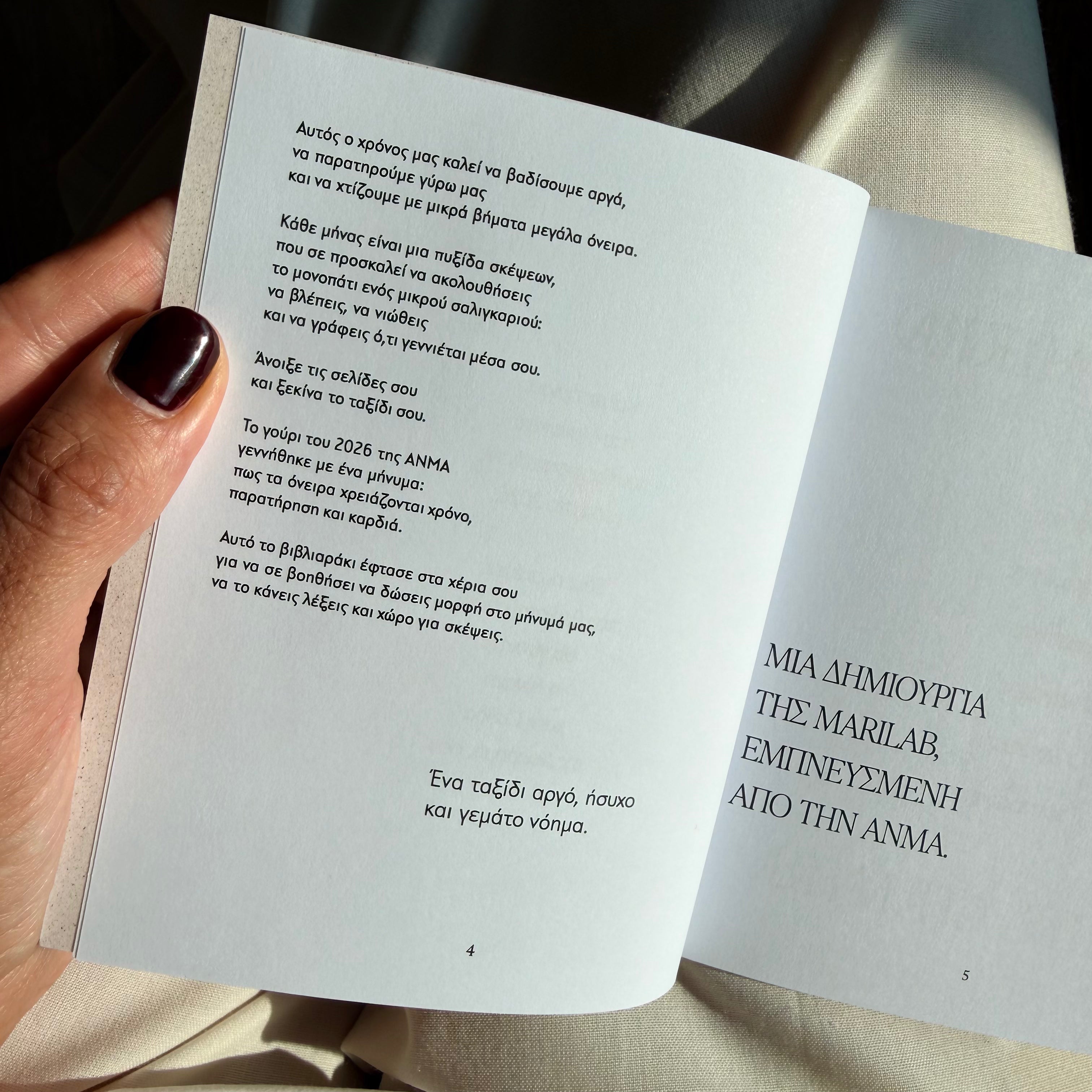 "Small Steps Big Dreams 2026" Journal