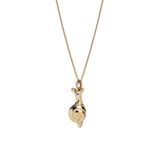 14K Gold "Snail" Talisman 2026 Necklace (Small)